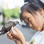 Mimpi Dapat Burung Cantik Artinya